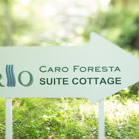 Caro Foresta Kita Karuizawa Rio Hotel Tsumagoi Esterno foto